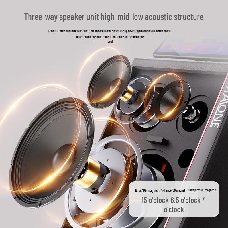 MALONE Portable KTV All-in-One Entertainment System with Screen (CN version)