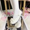 Sweet Campus Style Lolita Shoes Women's 2024 New Round Head Cute Thick Heel Versatile Single Shoes Mary Jane Women's Shoes