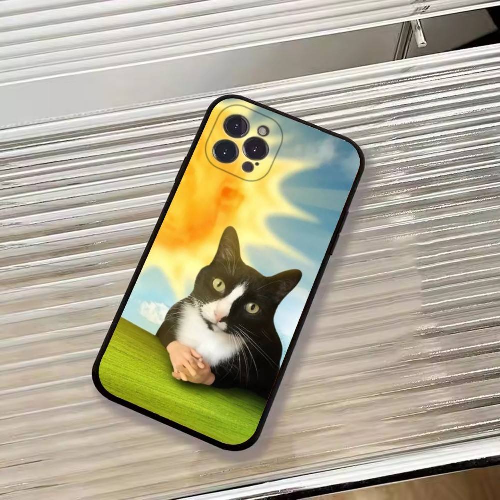 F-Смешной Животное Кот Чехол для Телефона Силиконовый Мягкий Для IPhone 17 16 15 14 13 12 11 X XR Plus Pro Max Plus