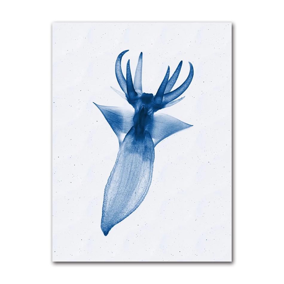 Retro Sea Animal Cyanea Jellyfish Squid Shark Minimalist Art Poster Canvas Painting Wall Prints Picture Living Room Home Decor
