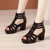 Summer Women's Breathable High Heel Shoes Women's Peep Toe Platform Chunky Heel Sandals Outdoor Zip Dress Party Heeled Shoes