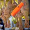 Electric Poultry Plucker Small Feather Removal Machine for Bird Duck Orange