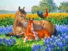 Full Round/Square 5d Diamond Painting Horse Mosaic Sunset DIY Diamond Embroidery Animal Home Decor Craft Kit