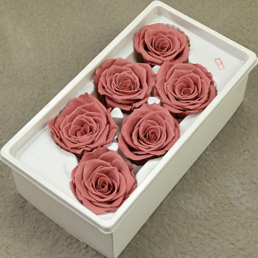 Blue Enchantress Ferris Wheel: A-Grade Dried Roses DIY Bouquet Kit
