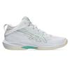 Asics GEL HOOP V17 Амортизаторы Нескользящие Износостойкие Низкие Баскетбольные Кроссовки Мужские Белые Бежевые Кроссовки 1063A096-101