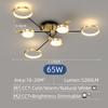 Nordic Simple Ceiling Lamp Black Gold Decoration Home Chandelier Bedroom Living Room Lamp Indoor Lighting Fixtures