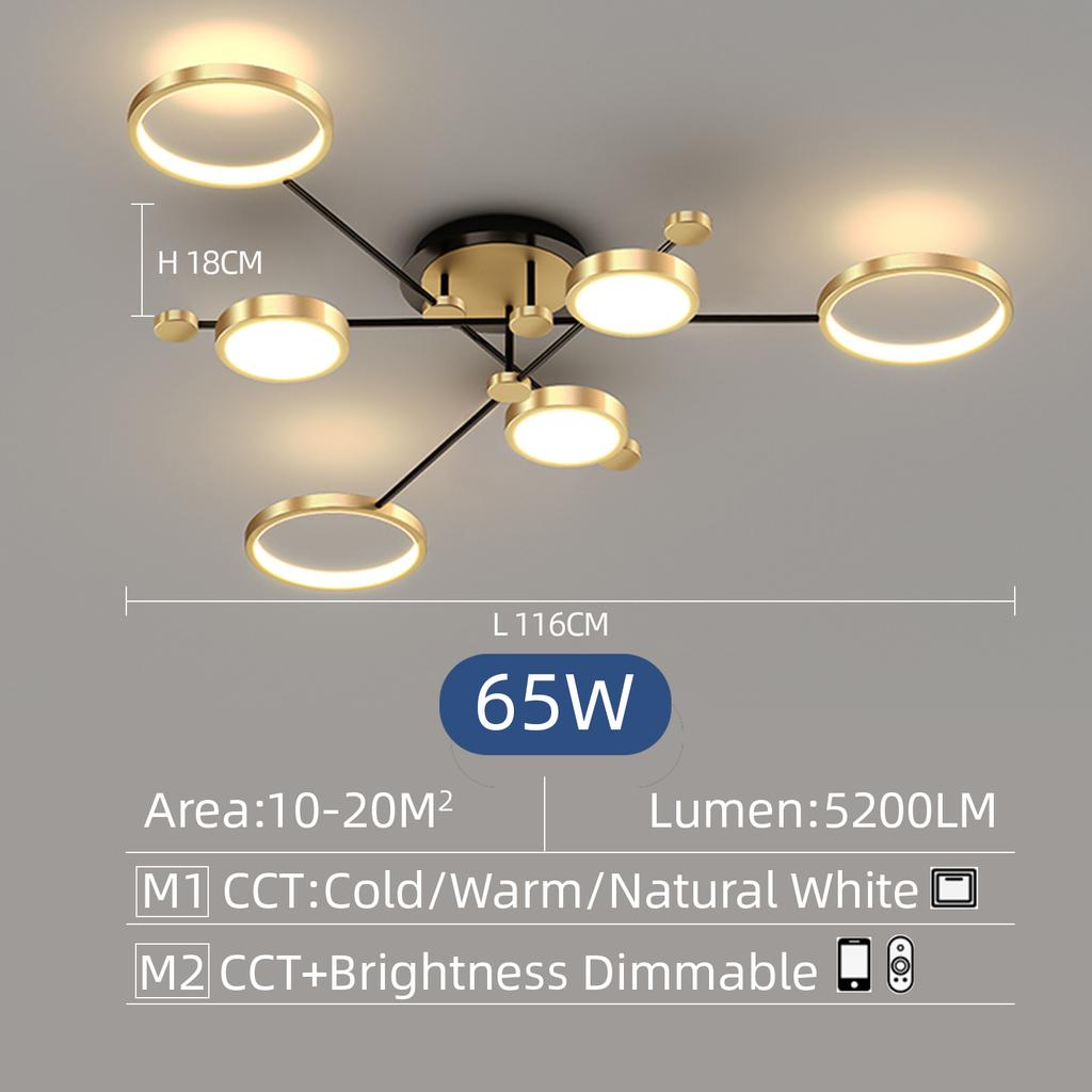 Nordic Simple Ceiling Lamp Black Gold Decoration Home Chandelier Bedroom Living Room Lamp Indoor Lighting Fixtures