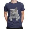 British Shorthair Painting Funny 100 Cotton Tshirt Shorthair Tops Tees For Unisex