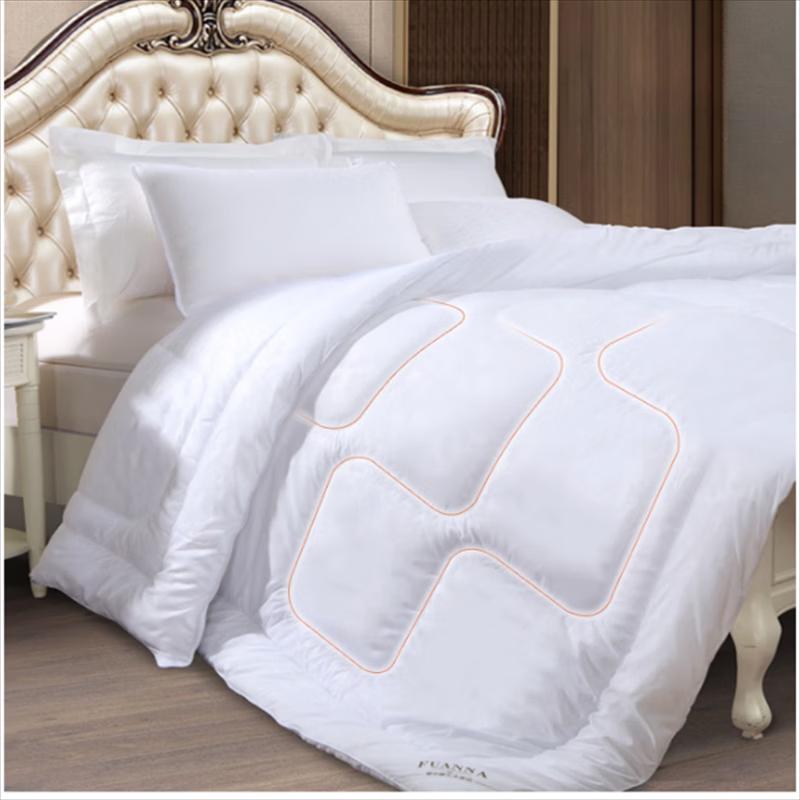 FUANNA Cloud Dream Super Soft Winter Quilt