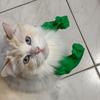 Yousheng Cat Muscle Arm 3D Printed Neck Arm with Muscle Pet Cosplay Costume Accessories for Halloween Birthday Party Supplies
