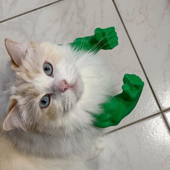 Yousheng Cat Muscle Arm 3D Printed Neck Arm with Muscle Pet Cosplay Costume Accessories for Halloween Birthday Party Supplies