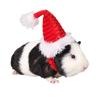 Christmas  Decorations Small Animals Rats Costume Decor Pet Christmas Hat Cat Hat Santa Claus Cap