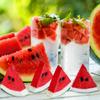 WILLBOND 12 Pieces Realistic Fake Watermelon Slices, Red, 1.96" x 0.39" Round, Summer Thematic Decorations for Kitchen, Party, Wedding