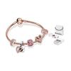 Pandora Starlight Bracelet Set Women's Copper Silver Alloy Bracelet Women's ZT0520