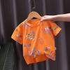 Boys' Short Sleeved Summer Clothes Baby's T-shirt Thin Design Boys' and Girls' Baby Tops for Summer