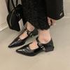 Fashion 2024 Winter New French One Strap Pointed Head Shallow Mouth Single Shoes for Women Retro Belt Buckle Thick Heel Mary Jane Shoes