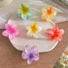 Градиентная Прозрачная Большая Заколка для Волос в Виде Цветка Сладкие Зажимы для Волос для Женщин Смола Зажим-Краб Заколки Головные Уборы Аксессуары