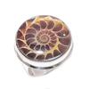 Ammonite Fossil Gemstone 925 Sterling Silver Jewelry Ring Size 9