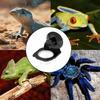 Compact Suction Cup Feeder for Small Pets Including Frogs And Geckos