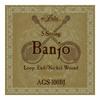 [1 Set] ARIA AGS-100BJ 10-23 5-string Banjo Strings
