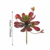 Fleshy Artificial Succulent Plant Lifelike Real Touch Fake Cactus Plastic Realistic Simulation Bonsai Plant Balcony Decoration