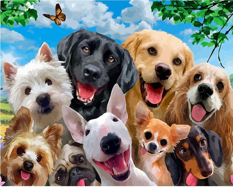 40x50 см живопись по номерам собака рисунок на холсте ручная роспись живопись искусство подарок DIY фотографии по номерам наборы животных домашний декор