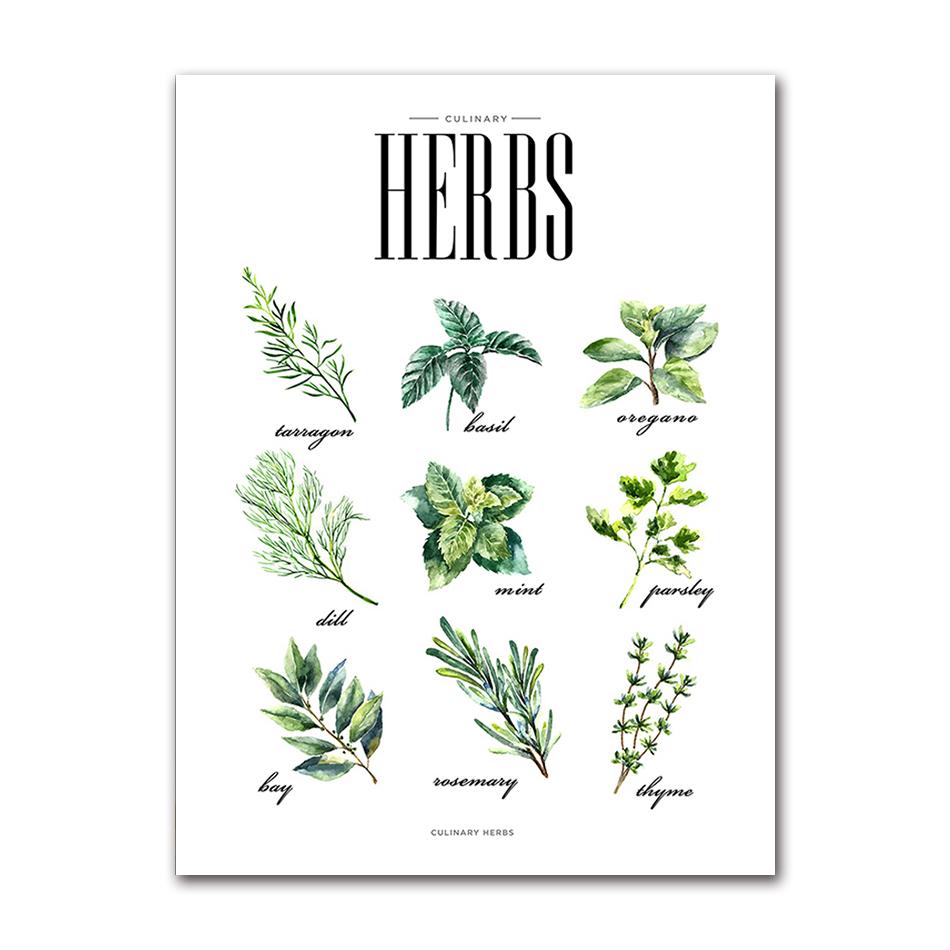 Kitchen Shop Cafe Wall Art s HD2862 Quote Decor Herbs Plants Canvas Prints Coffee Pictures