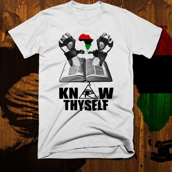 Stay Woke T-Shirt Melanated African Kemetic Pride Black History, Know Thyself