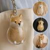 Clear Puppy Hair Memorial Keepsake Capsule Pet'S Dog Fur Container Diy Pendant Keychain Decor Pet Lovers Home Display Gifts