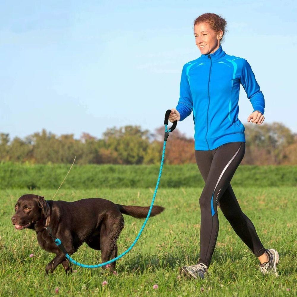 Мягкий тренировочный поводок для собаки Короткий светоотражающий поводок Поводок для собаки, чтобы следовать вплотную Собака