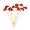 Les Trésors De Lily [Q3291] - Set of 20 Red 'Watermelon' Wooden Aperitif Picks - 12 Cm