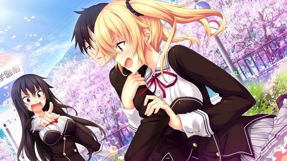 And Stray Cat Heart HD TV Anime and Stray Cat Chaos TCG and Stray Cat PR Card Included PS4 Nora, Princess, [Bundle Bonus] "Nora, Princess, Heart" DVD,