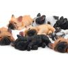Small Bulldog French Bulldog Model Magnetic Sticker Handle Diy Fridge Sticker Magnetic Sticker