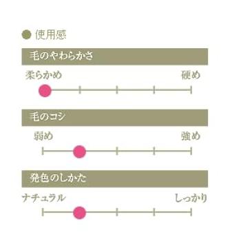 Kumano Brush Chikuhodo Genuine Silver Fox Eyeshadow Brush Red Axis Hiroshima Makeup Brush Regular Series Makeup Brush CHIKUHODO RR-S11 (Red)