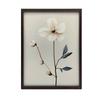 White Anemone - Minimalist Beauty White Anemone - Minimalist Beauty, 30X40 Cm, Dark Brown Wooden Frame, 230 Gsm Matte Paper