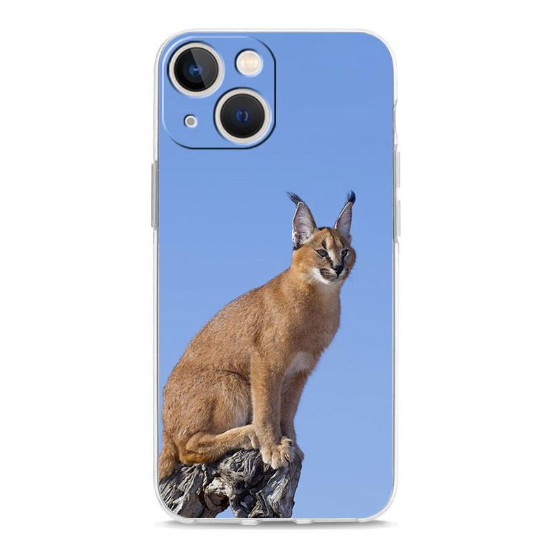 Чехол для телефона iPhone 17 Air Cases iPhone 16 15 12 13 14 Pro Max SE 7 8 Plus iPhone11 Прозрачный чехол Африканская рысь Каракал