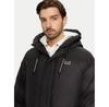 Зимняя куртка EA7 Emporio Armani 6DPL01 PNGAZ 1200, черная, стандартный крой