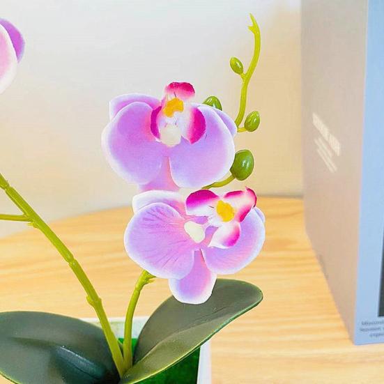 Мода Моделирование Цветок Декоративный Нежный Привлекательный