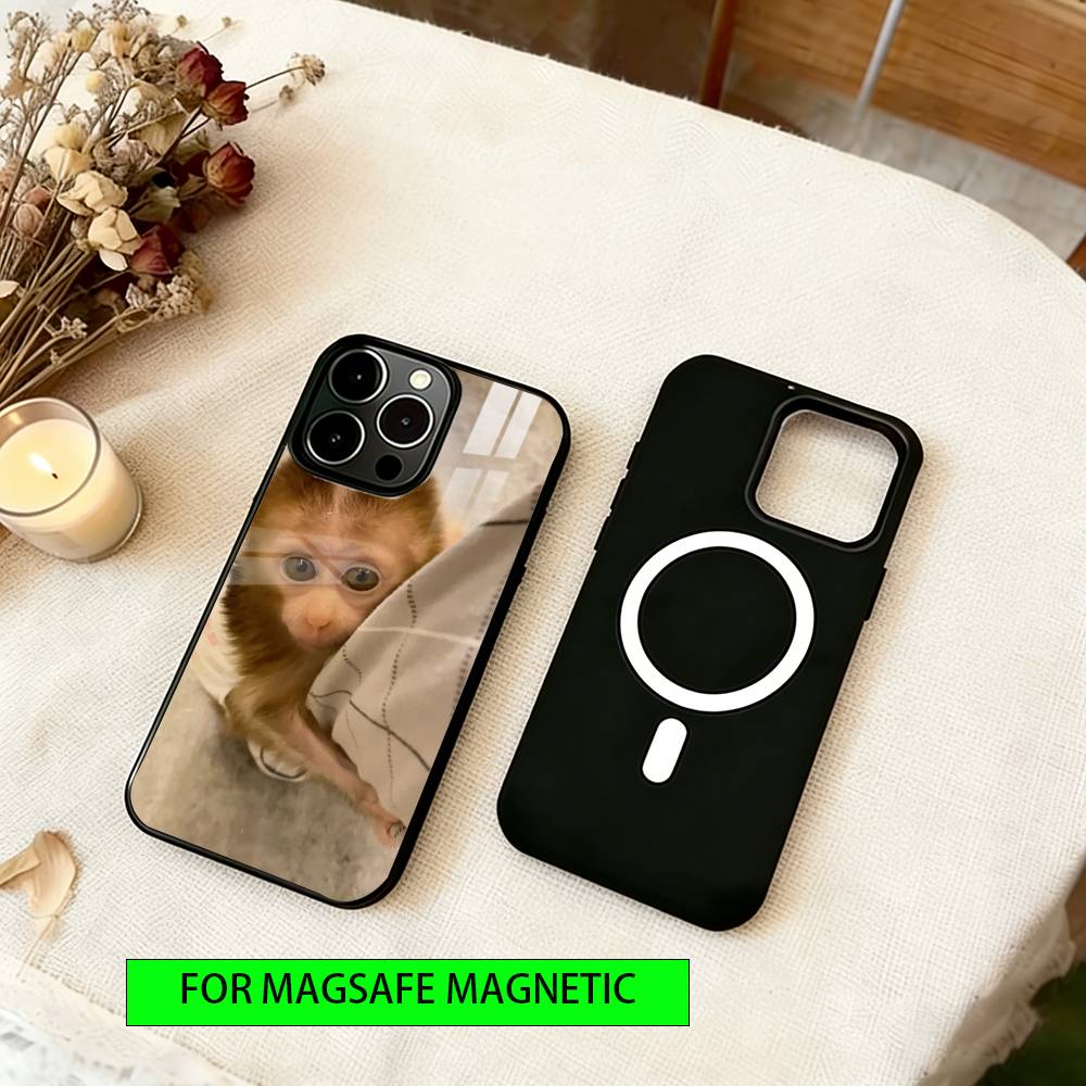 little monkey Phone Case For iPhone17,16,15,14,13,12,11 Plus,Pro Magnetic For Magsafe Wireless Charging