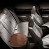 Чехол для автомобильного сиденья Four Seasons Carbon из дышащей искусственной кожи с угольной подушкой