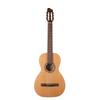 Godin Nylon Guitar Classical Guitar Solid Cedar Top Motif 049738 []