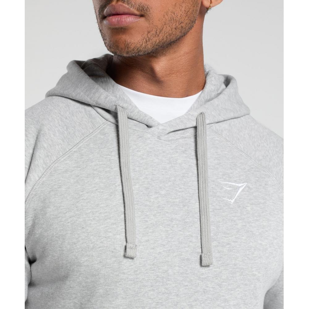 Gymshark Crest Hoodie Light Grey Marl A2a4g Gbfg