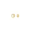 Tous Manifesto Hoop Earrings 18K Gold Plated / MANIFESTO Hoop Earrings / Earrings / 1004094800