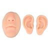 Silicone Ear Model Novice Simulated 3D Nose and Mouth Model Display Prop Teaching Tool for Piercing Practice