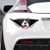 Виниловая наклейка на автомобиль Border Collie 3D, наклейка на бампер Fun Insurance для автомобилей, грузовиков, мотоциклов, стен, окон, материала ПВХ