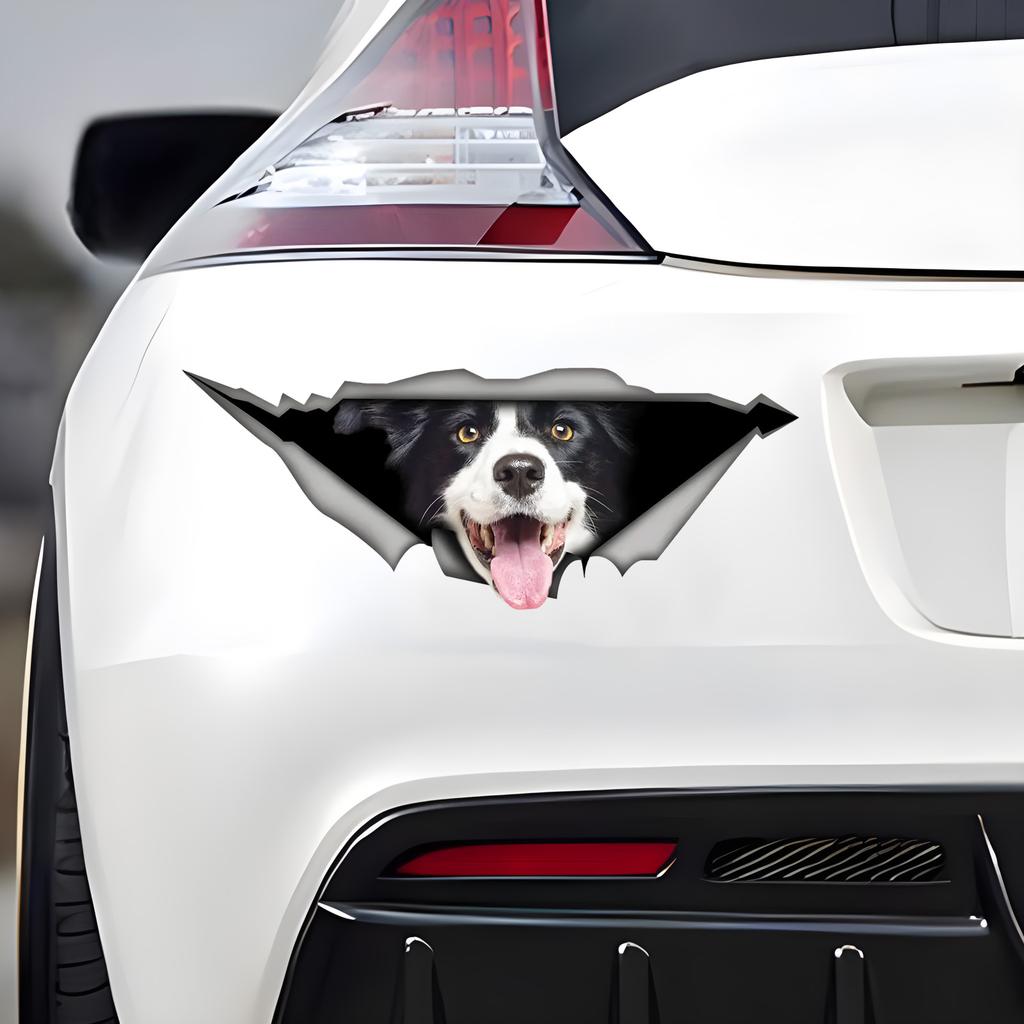 Виниловая наклейка на автомобиль Border Collie 3D, наклейка на бампер Fun Insurance для автомобилей, грузовиков, мотоциклов, стен, окон, материала ПВХ