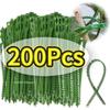 50-200 шт. Многоразовые зеленые кабельные стяжки для растений, регулируемые самозащелкивающиеся кольца-обертки, фиксаторы для поддержки растений, лозы, деревьев, кустарников, органайзер