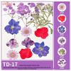 Handmade Bookmarks with Real Pressed Flowers - DIY Materials for Back to School, Kindergarten Specimens, Ornaments, and Decorations.