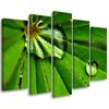 Five Piece Picture Canvas Print Leafy Rosy Drops