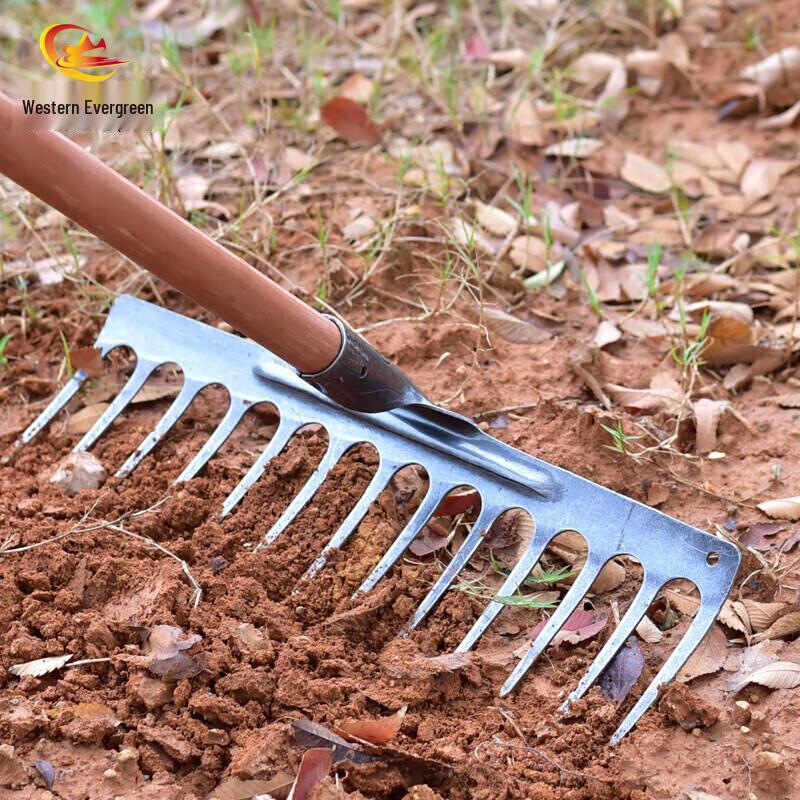 Heavy-Duty 13-Tine Garden Rake with Wooden Handle